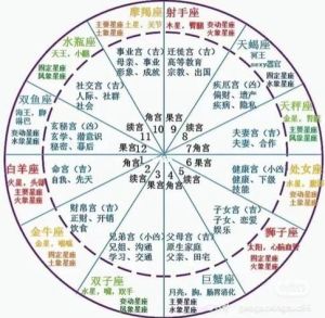星座爱情揭秘：忠诚与背叛的星座性格解析