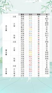 紫微斗数天同星性格解析：福星特质与职场影响