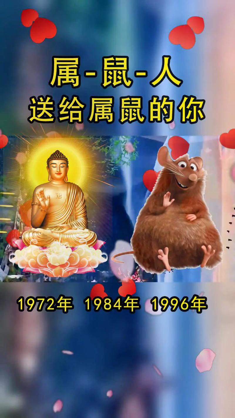 生肖智慧成长：鼠牛虎兔绽放人生光彩