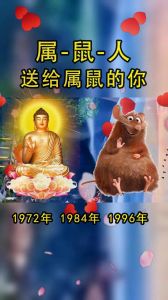 生肖智慧成长：鼠牛虎兔绽放人生光彩