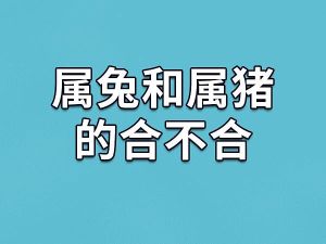 年底翻身！属猪猴兔生肖运势逆袭指南