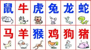 旺家生肖女：鼠牛特质，家庭和谐好运秘诀