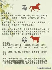 生肖福运揭秘：晚年幸福生肖特质与婚恋模式变迁