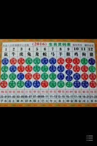 四大好运生肖揭秘：鼠龙马羊财运旺指南