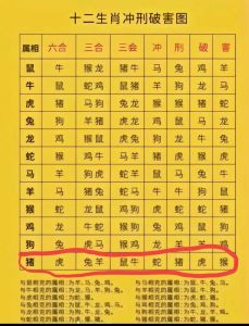 冬季运势旺：虎蛇鸡猪四生肖喜获丰收