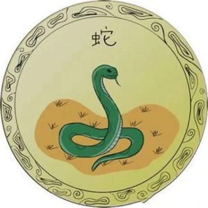 生肖鼠蛇桃花旺，天秤双鱼遇良缘！