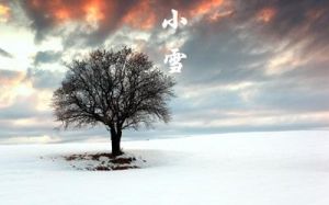 属鼠人小雪节气运势：水旺影响情绪健康，如何应对？