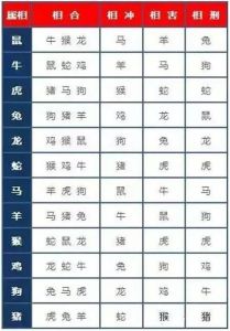 生肖特质解析：龙虎马羊运势提升秘诀