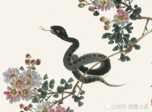 属猴蛇鼠转运季：把握时机，事业财运双飞跃！