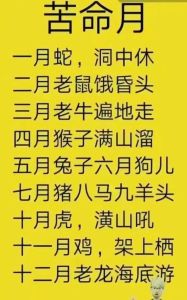 生肖奥秘揭秘：鼠龙蛇猴爱情财运事业特点