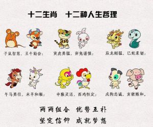 生肖魅力：爱情财运，不同生肖的未来之路
