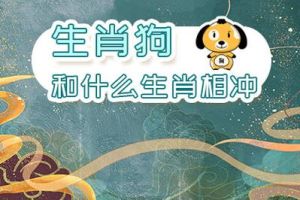2022虎年属兔与羊狗猪猴互补，财运爱情双丰收