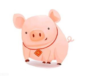 生肖爱情财运揭秘：牛羊猴鸡各展魅力
