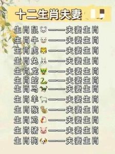 生肖配对解析：爱情财运与幸福财富秘诀