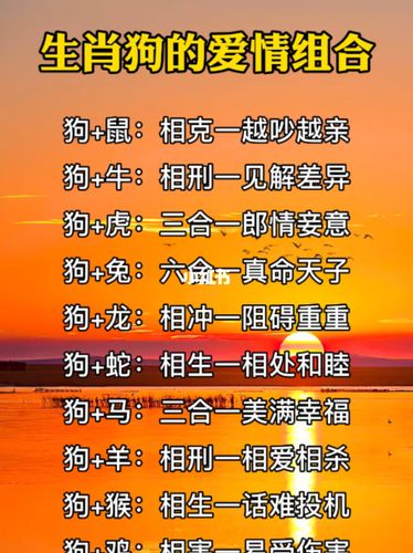 属狗人爱情财运：最佳生肖组合大揭秘