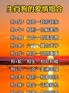 属狗人爱情财运：最佳生肖组合大揭秘