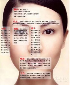 生肖女性特质解析：鼠牛兔蛇旺夫相与运势