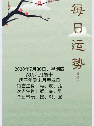 生肖运势高峰：龙猴猪今日财运亨通，把握机遇！