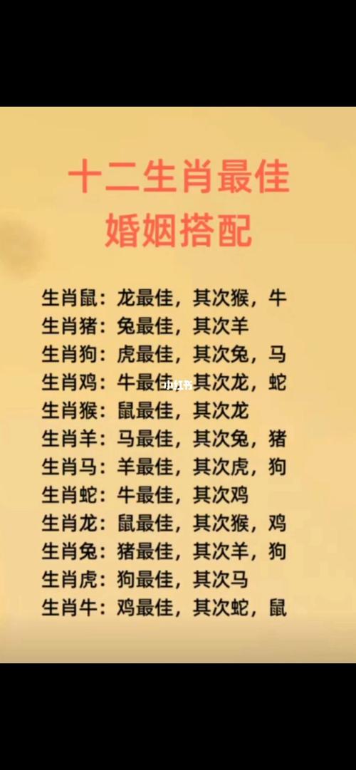 揭秘生肖配对：鼠龙牛蛇等组合的爱情财运秘诀