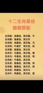 揭秘生肖配对：鼠龙牛蛇等组合的爱情财运秘诀