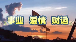 四生肖理财智慧：爱情财运与成功秘诀