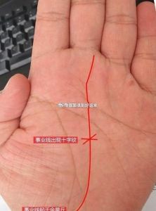 四大易小心眼星座：感情财运事业影响解析