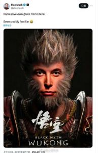 十二生肖智慧解析：鼠龙马猴财富爱情攻略