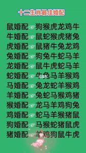 生肖特点解析：鼠牛龙兔爱情财运运势