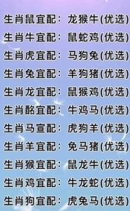 虎年生肖：鼠龙蛇羊爱情财运大解析