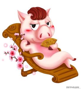 生肖猪：福气吉祥，事业爱情双丰收指南