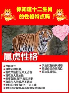 生肖虎性格运势解析：凌晨至晚上特点一览