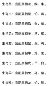 生肖女性爱情财运揭秘：牛虎兔蛇各具特色