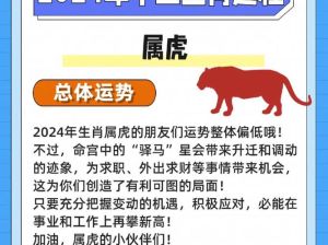生肖虎：爱情财运大揭秘，未来可期