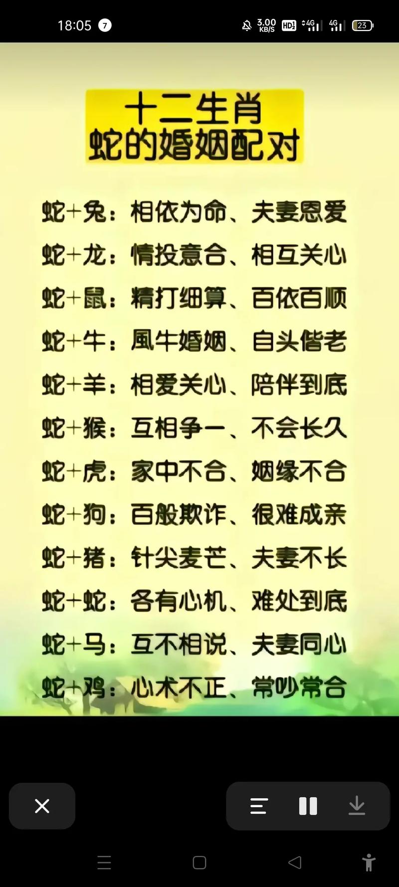 生肖蛇配对分析：与鸡猴龙兔的运势优势