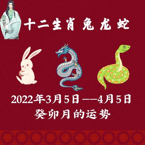 十二生肖运势解析：兔龙蛇鸡未来展望与策略