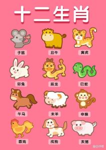 11月底四大生肖转运：爱情甜蜜，财运亨通！