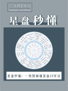 女强人命格揭秘：财帛事业夫妻子女宫星解析