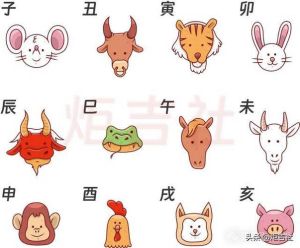 四大生肖特质揭秘：爱情财运与未来展望