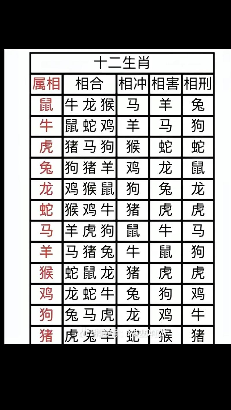 生肖龙虎猴猪特点解析：爱情财运未来展望