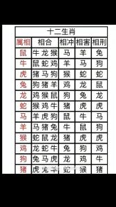 生肖龙虎猴猪特点解析：爱情财运未来展望