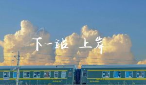 11月生肖转运：鼠兔龟龙焕新机，苦尽甘来迎光明！
