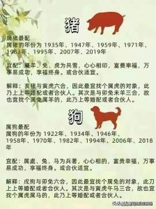 卯时出生：性格温和，事业腾飞，最佳婚配戌狗！