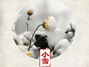 小雪节气运势盘点：生肖运势大揭秘！