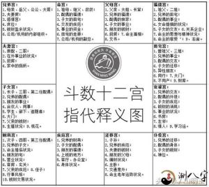 紫微天相组合命理解析：优缺点与命运启示
