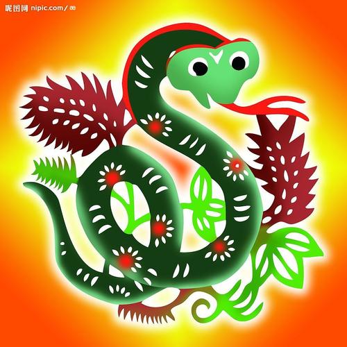 十二生肖魅力揭秘：蛇马鸡的独特魅力