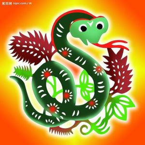 十二生肖魅力揭秘：蛇马鸡的独特魅力