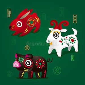 生肖魅力揭秘：兔羊猪最吸引男孩，女性魅力之道