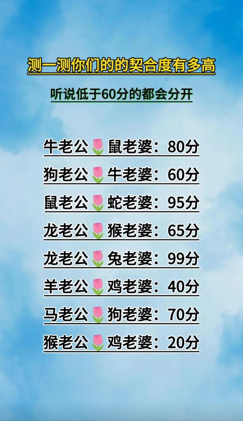 生肖配对：揭秘最和谐生肖组合，幸福牵手秘诀