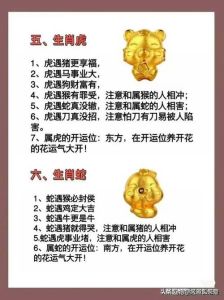十二生肖贵人揭秘：发现你的幸运助力！