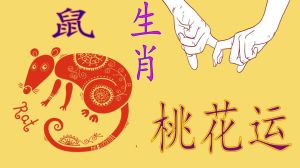 16天桃花盛开：鼠龙兔羊生肖爱情家庭大翻身